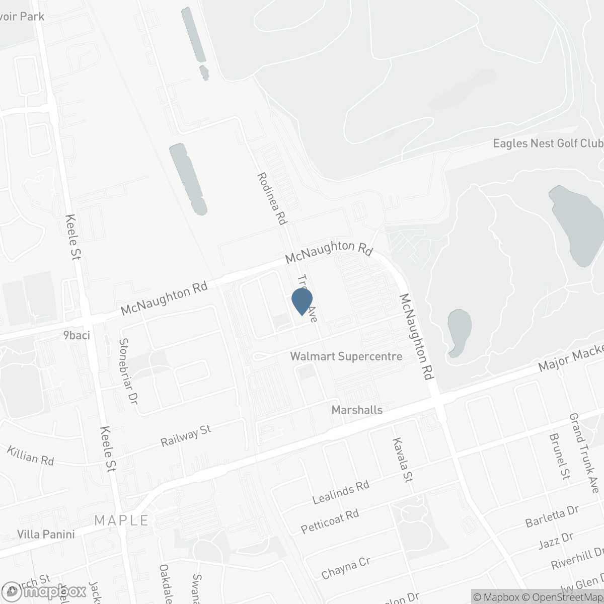46 TROON AVENUE, Vaughan, Ontario L6A 4Z2